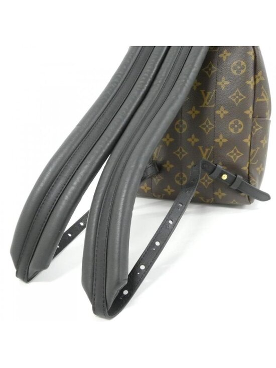 Louis Vuitton Monogram Palm Spring Backpack PM Sac
